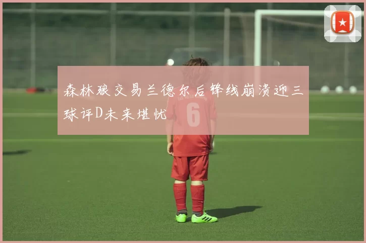森林狼交易兰德尔后锋线崩溃迎三球评D未来堪忧