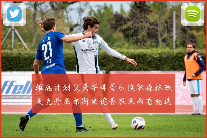 雄鹿计划交易字母哥以换取森林狼麦克丹尼尔斯里德香农及两首轮选秀权