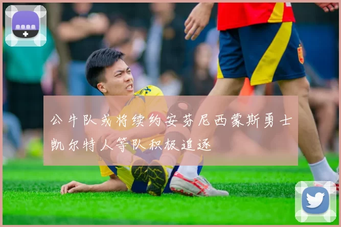 公牛队或将续约安芬尼西蒙斯勇士凯尔特人等队积极追逐