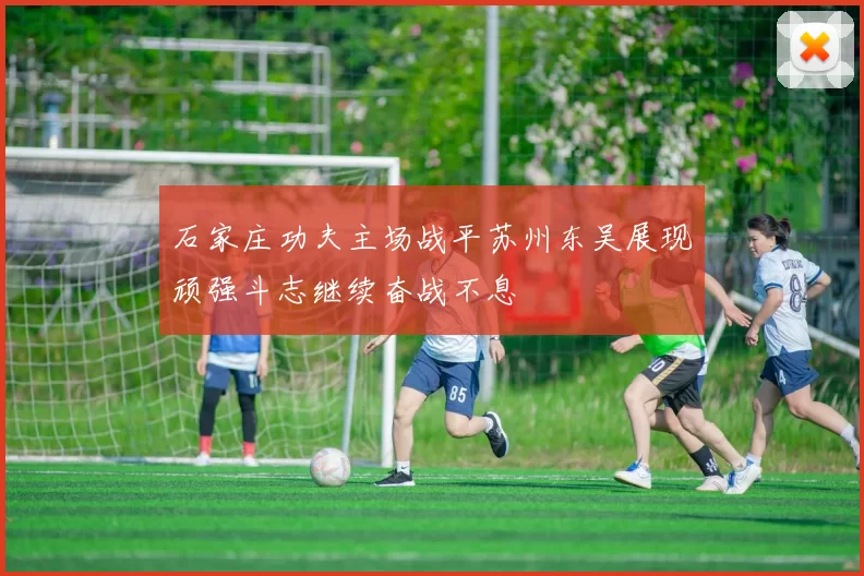 石家庄功夫主场战平苏州东吴展现顽强斗志继续奋战不息
