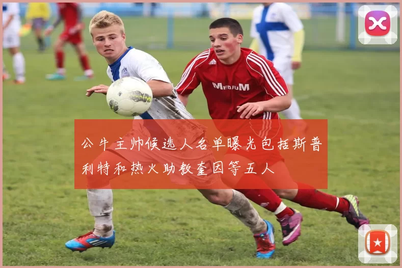 公牛主帅候选人名单曝光包括斯普利特和热火助教奎因等五人